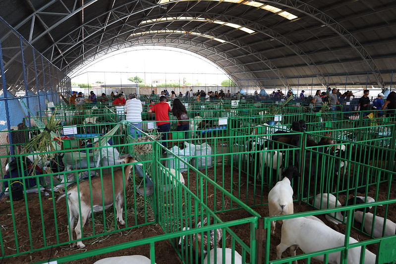 12ª edição da ExpoRajada começa nessa quinta-feira